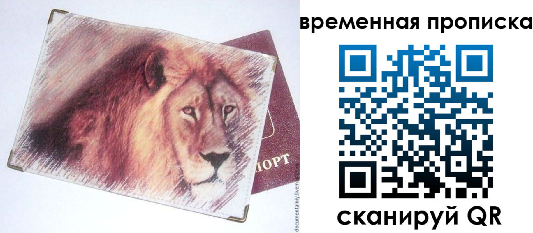 прописка гарантия в Нальчике